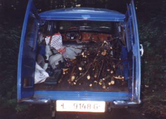 pilsen5.jpg (15498 Byte)